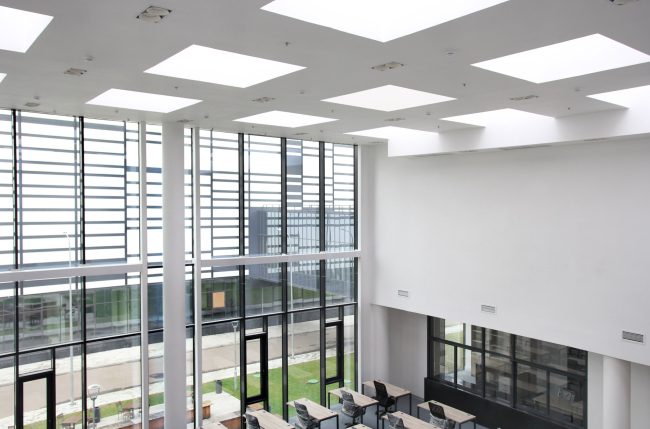 ��������������� ����� ���������� ���������. �������