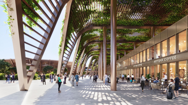 ������������� �������� ������� (�����-�����)