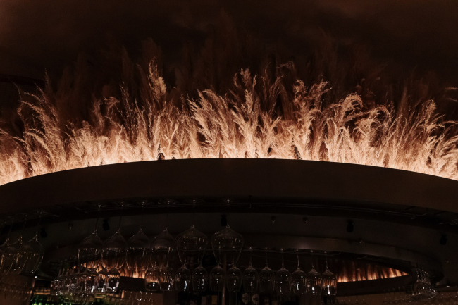 �����-���� ����� � ��������