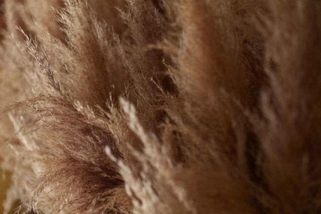 �����-���� ����� � ��������