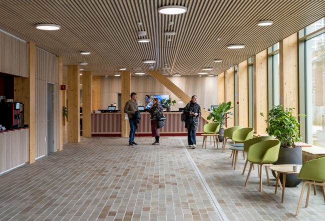 ���������������� ������ WoodHub