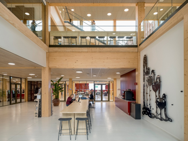 ���������������� ������ WoodHub