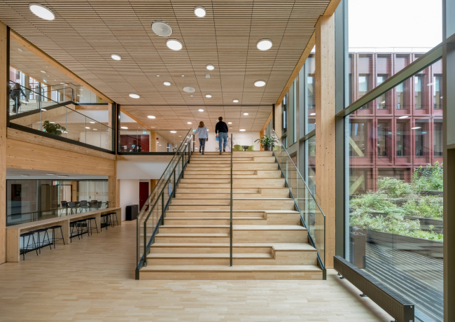 ���������������� ������ WoodHub