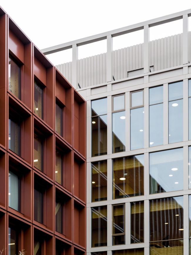 ���������������� ������ WoodHub