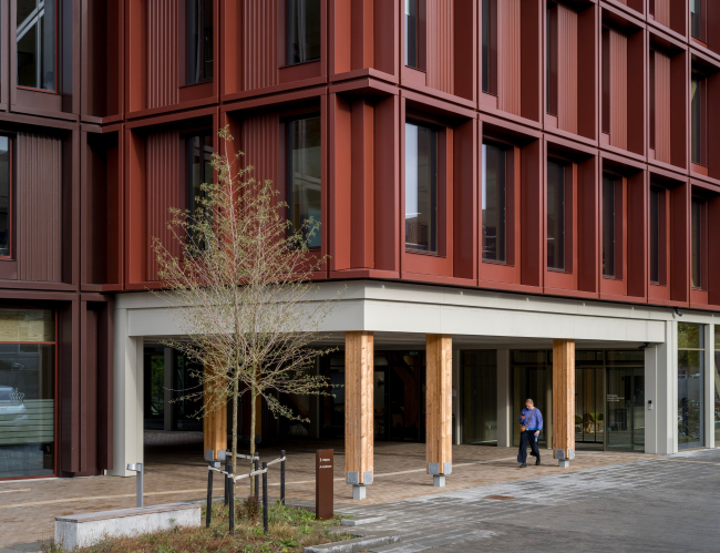 ���������������� ������ WoodHub