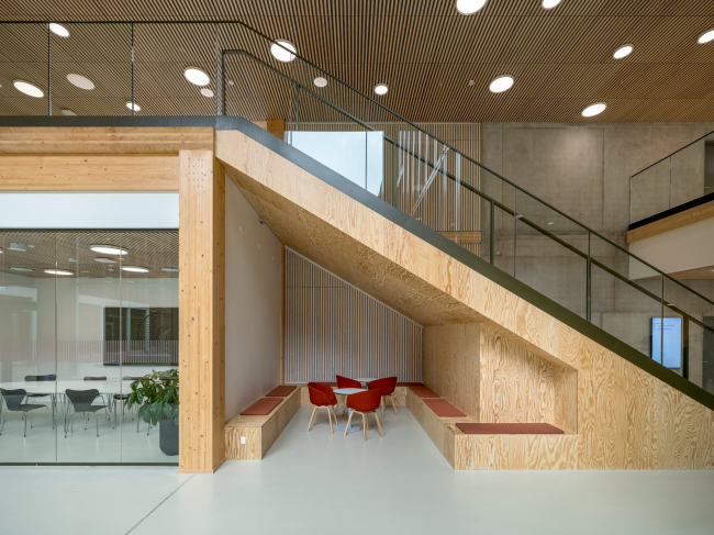 ���������������� ������ WoodHub