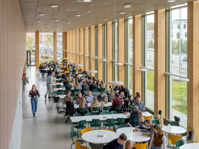 ���������������� ������ WoodHub