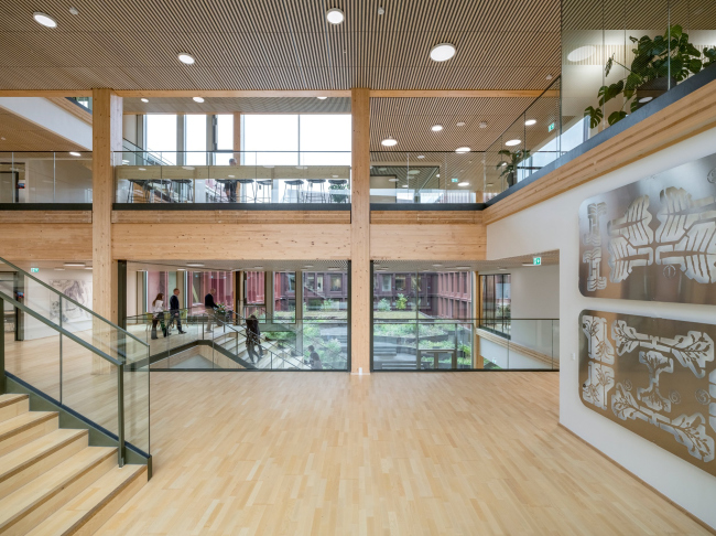 ���������������� ������ WoodHub