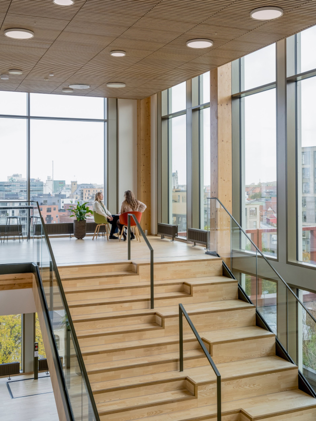 ���������������� ������ WoodHub