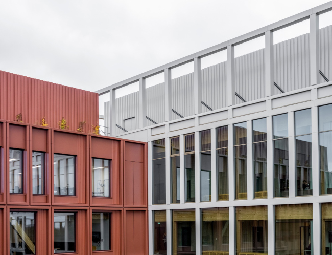 ���������������� ������ WoodHub