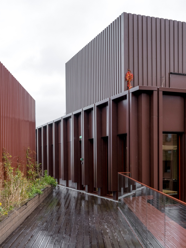 ���������������� ������ WoodHub