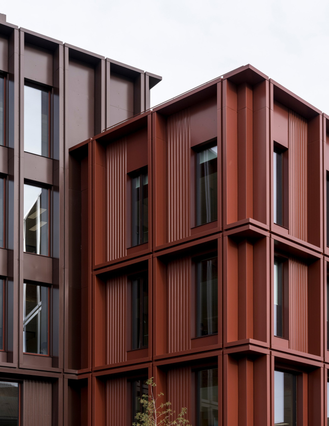 ���������������� ������ WoodHub