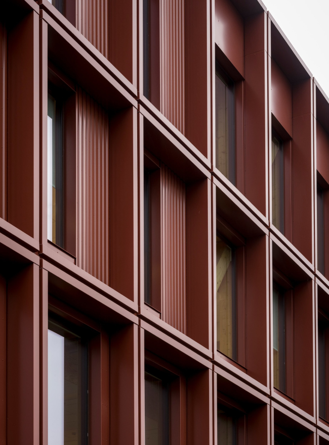 ���������������� ������ WoodHub