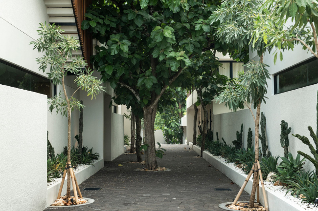 ����� Lyvin Bingin Villas