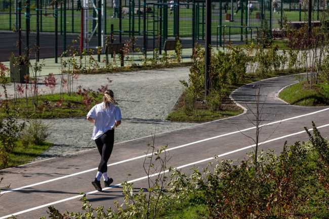 ��������������� ���������� �������� �������� � ��������������-����������. ������� �������