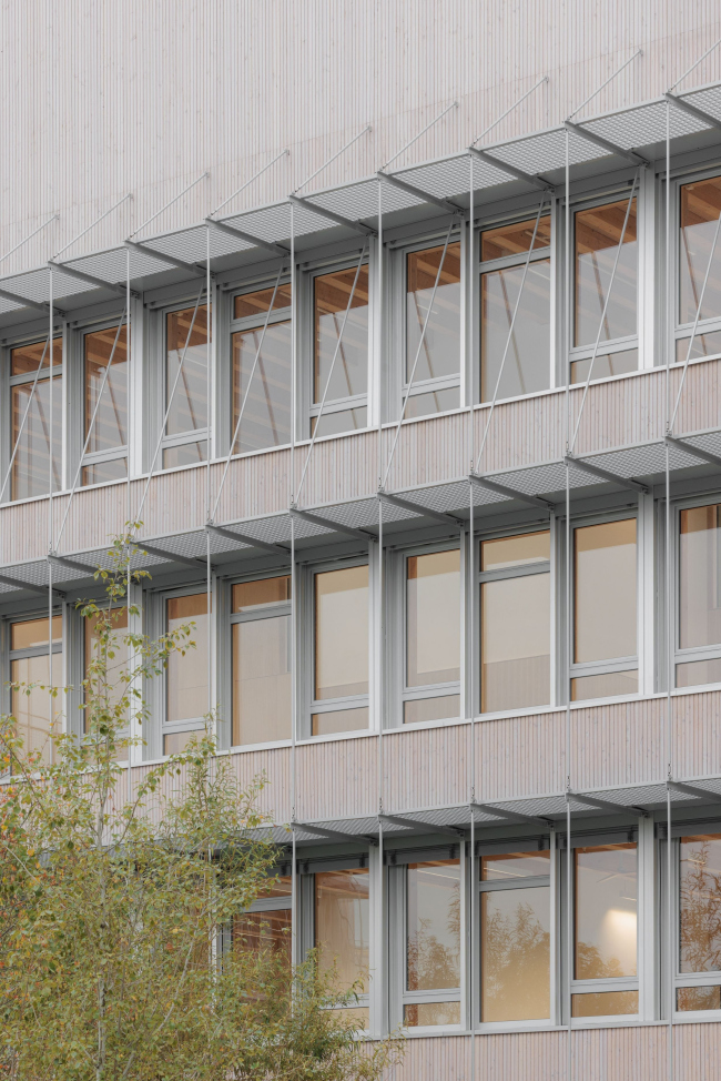 ����� ����� �������� �����