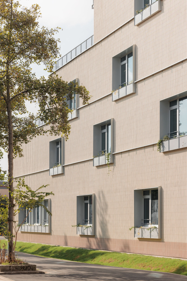 ����� ����� �������� �����