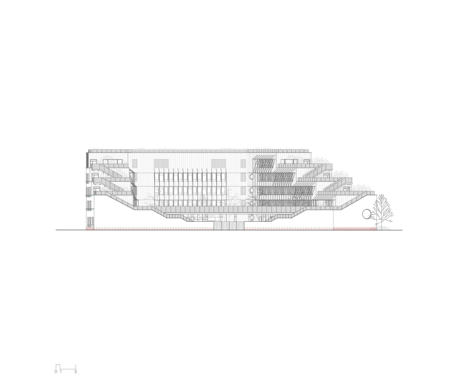 ����� ����� �������� �����