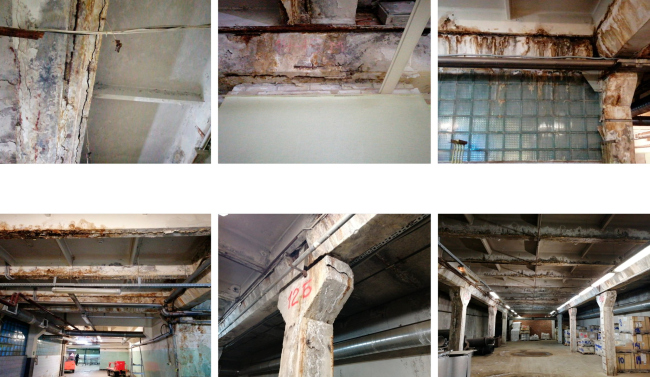 ������������� �����-�������������� ����������. ������������ ���������. ������������. ������ �