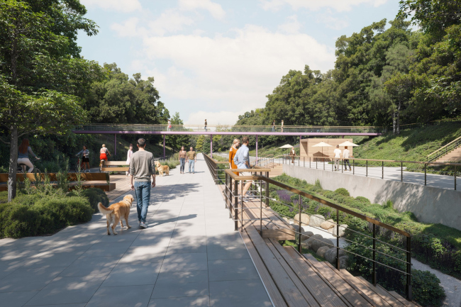 ���� ����������� �����