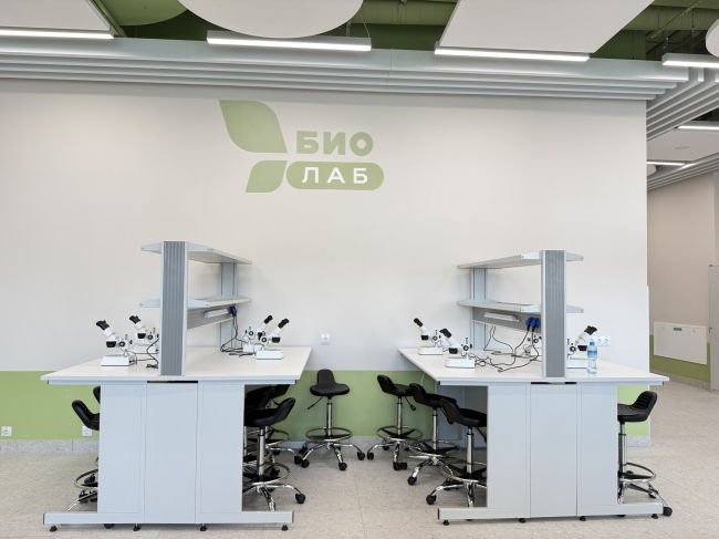 ��� �� �������������. �������� �������������� ������