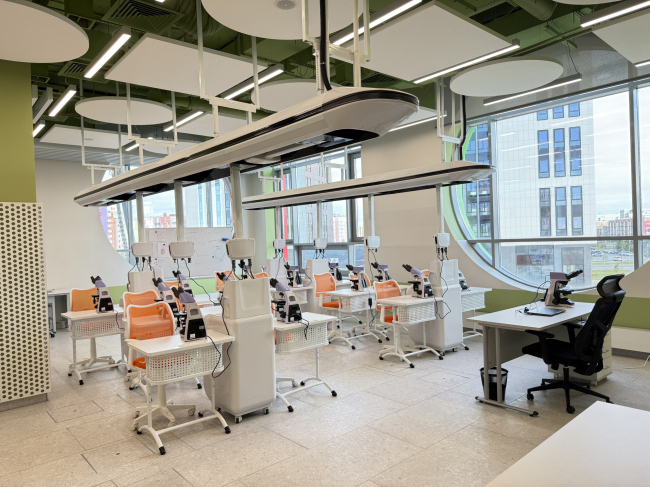 ��� �� �������������. �������� �������������� ������