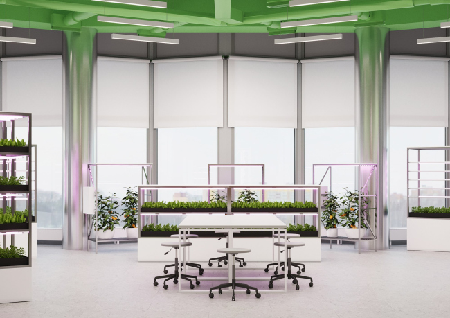 ��� �� �������������. ���� 3. ����������� �����������