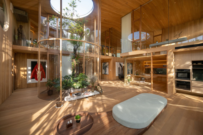 ��� ����������