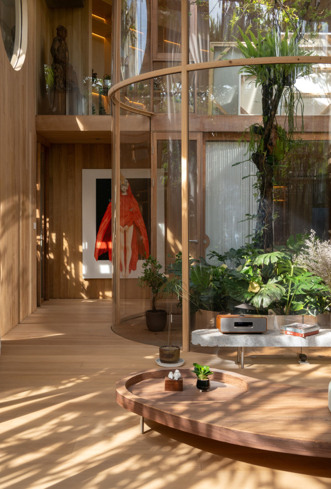 ��� ����������