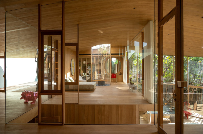 ��� ����������