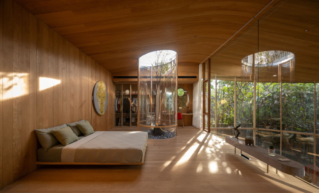 ��� ����������