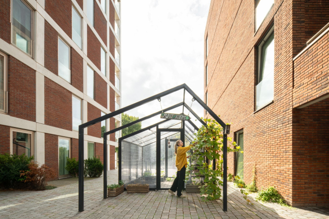 ����� �������� Punt Sniep