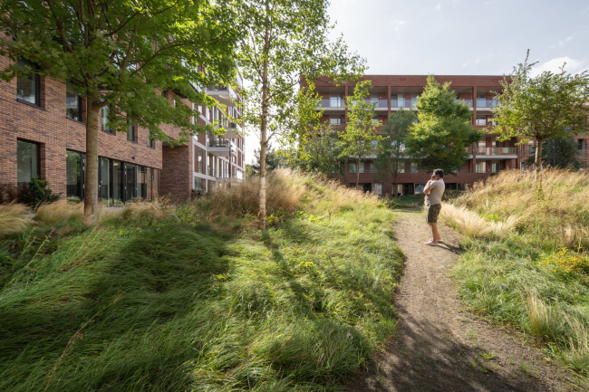 ����� �������� Punt Sniep