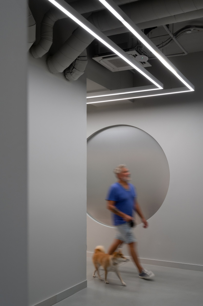 ���������� ����� ��� IT-�������� � ��������