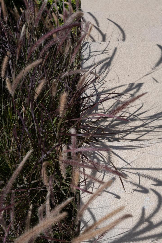 ������� ��� �� �����