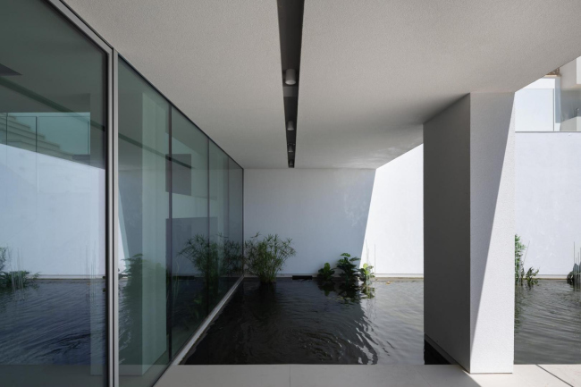 ������� ��� �� �����