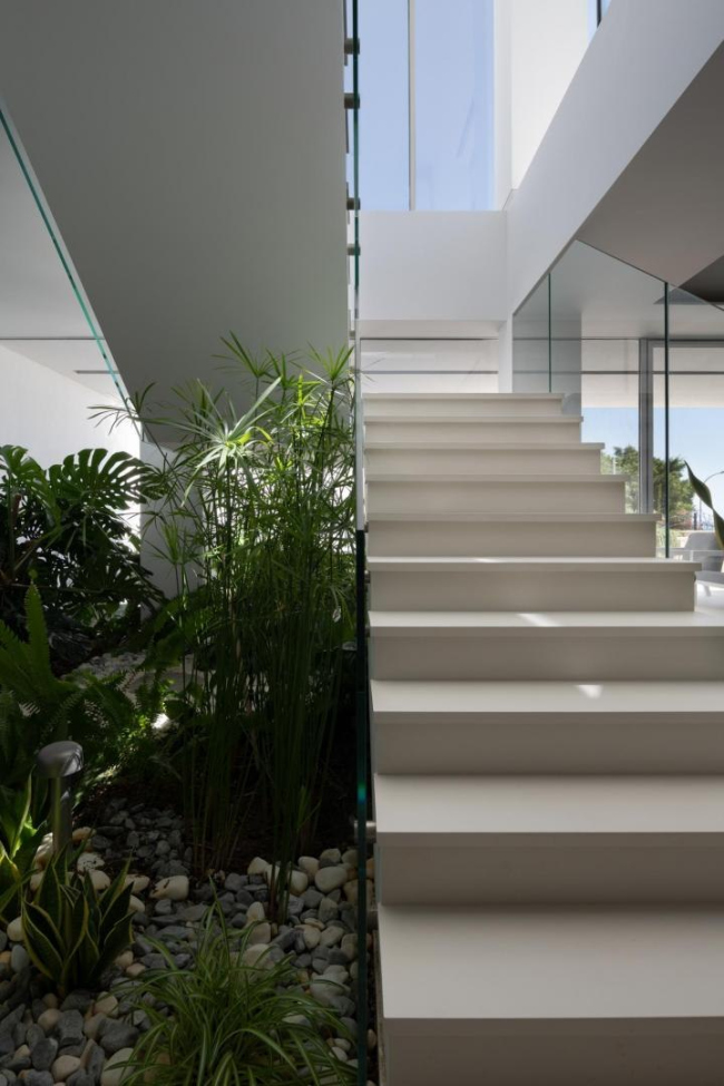 ������� ��� �� �����