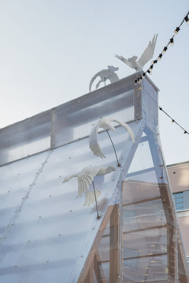 �������� ��� ����� �� ������������� ����������