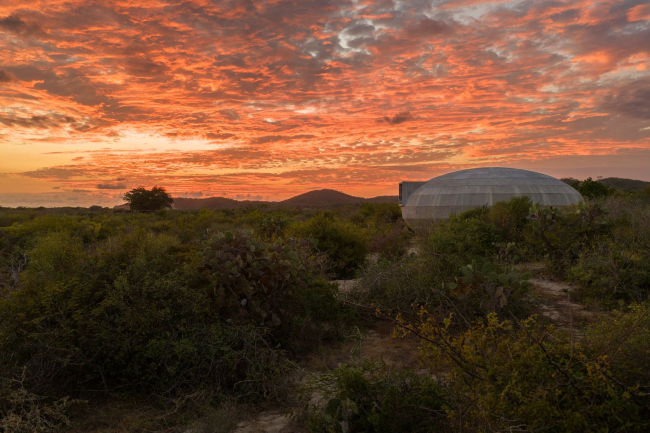 �������� ��������� � ������� ����� Casa Wabi