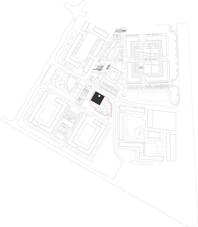 ������� ��� � �� ���� ����