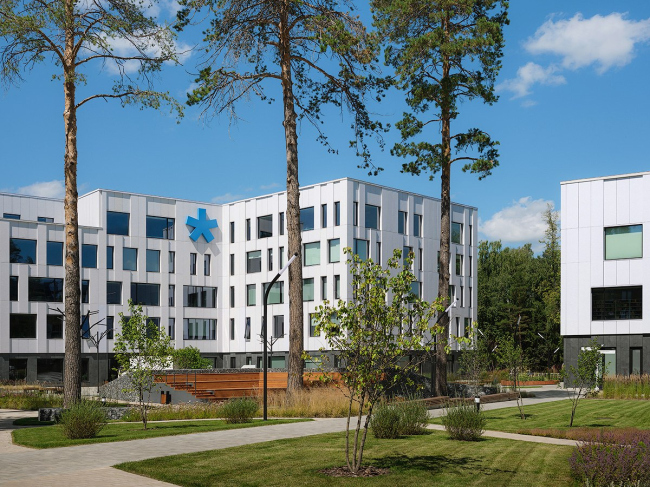 ����� ������ ������-�������������� ����� ���