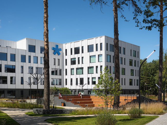 ����� ������ ������-�������������� ����� ���