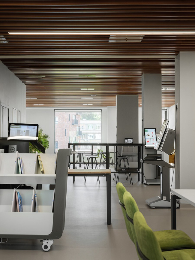 ����� ������ ������-�������������� ����� ���