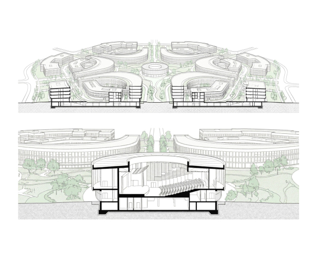 ������ ������������� ���������������� ������������ ���������� ��������, ������ � �������� ����� �.�. ��������. ������� ����. ������������ ���������