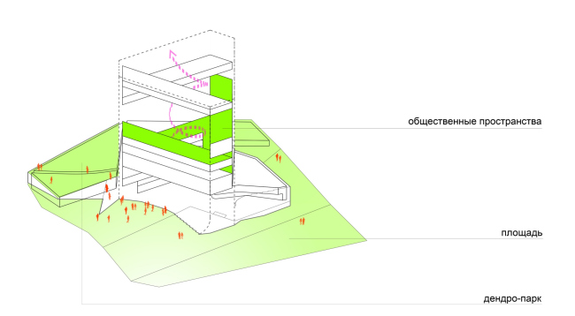 ������������ ��� ���������. ���� ��� ������ � ��������