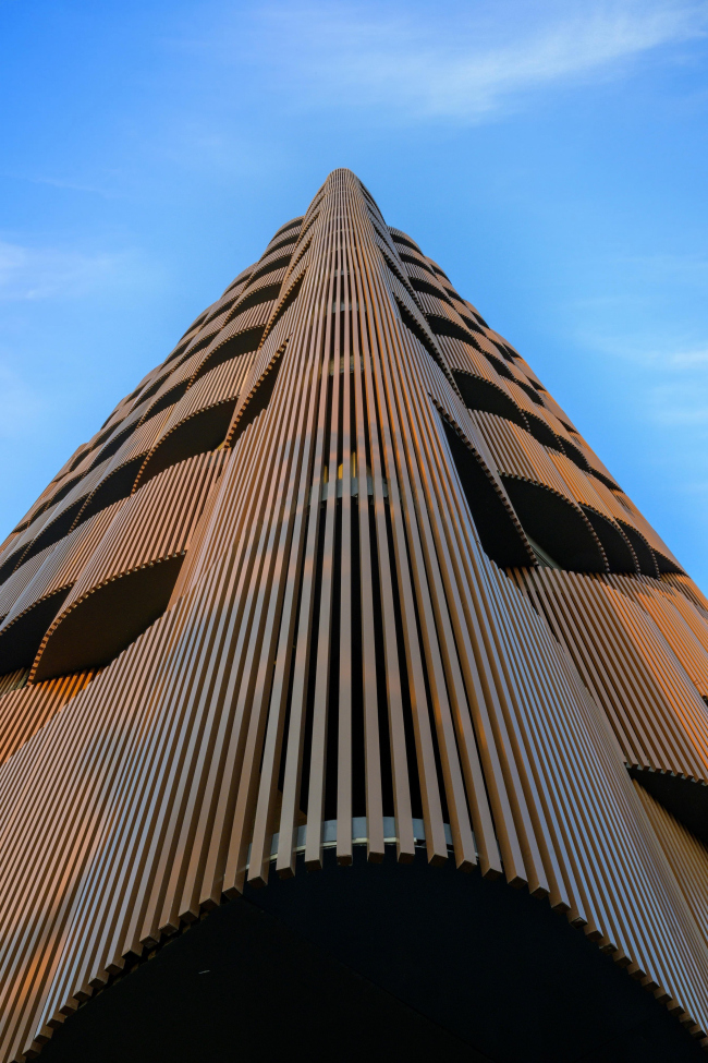 ������� ������ Stella � �������