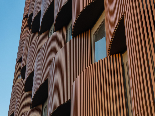 ������� ������ Stella � �������