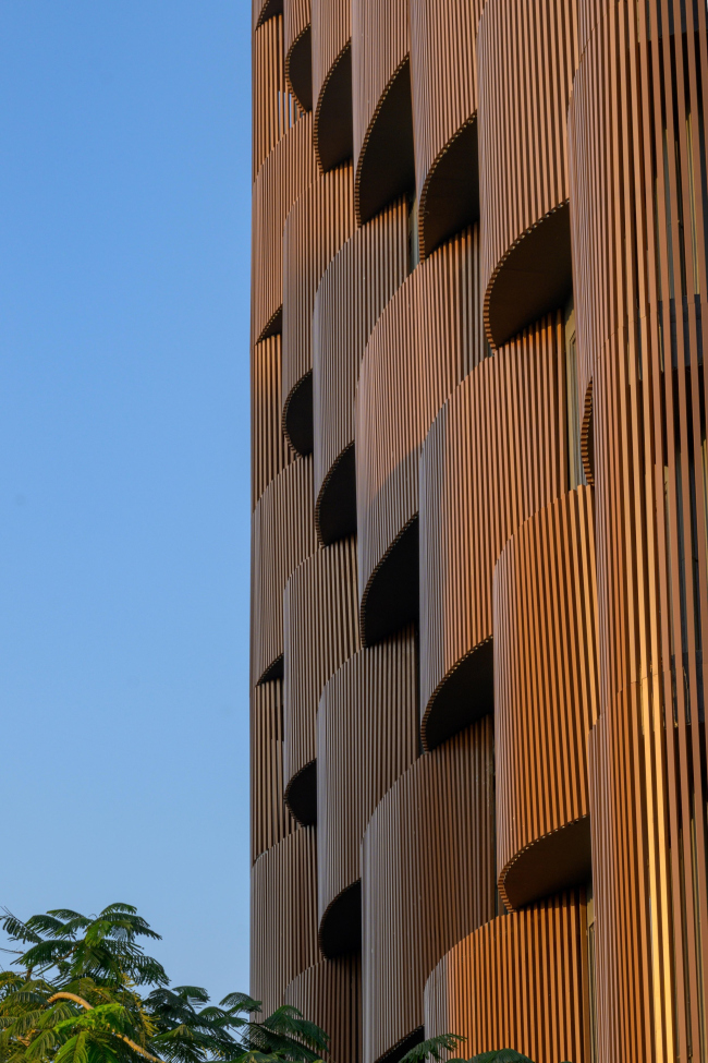 ������� ������ Stella � �������