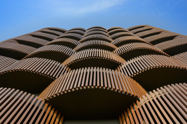 ������� ������ Stella � �������