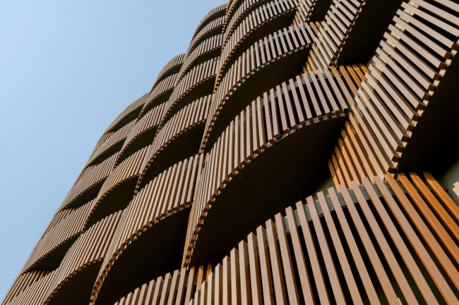 ������� ������ Stella � �������